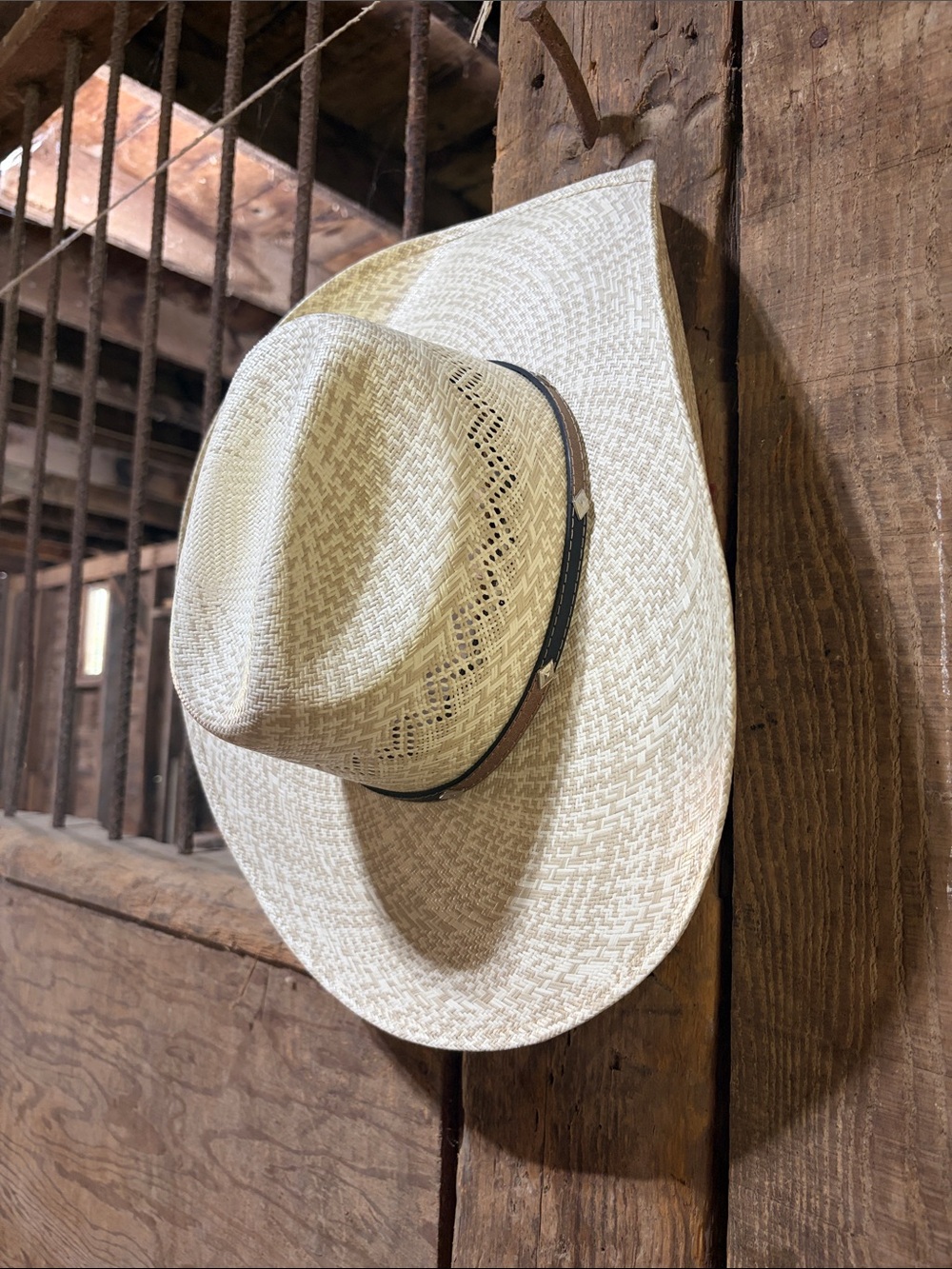 Twister 10X Straw Cowboy Hat